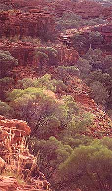 ac-kc6.jpg (37581 bytes)