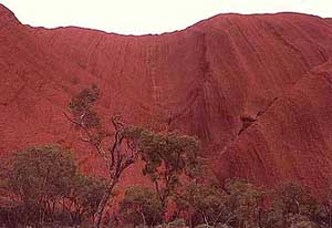 ac-uluru2.jpg (55609 bytes)