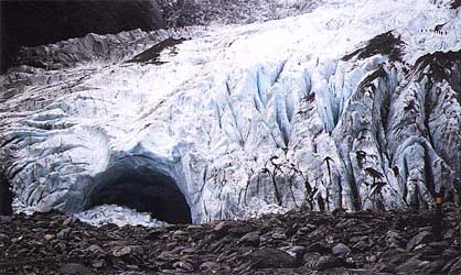 glacier-fox.jpg (38820 bytes)