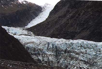 glacier-fox2.jpg (33491 bytes)