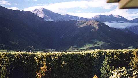 kaikora.jpg (27789 bytes)