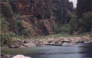 kakadu-twin5.jpg (24531 bytes)