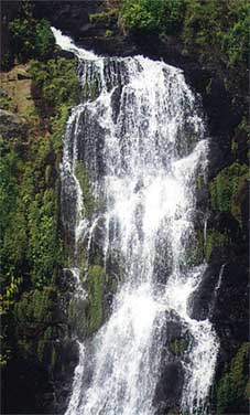 kuranda1.jpg (25849 bytes)