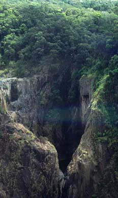 kuranda2.jpg (20026 bytes)