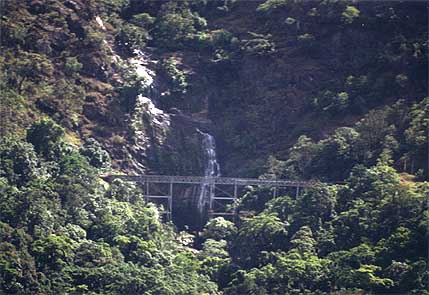 kuranda8.jpg (37771 bytes)