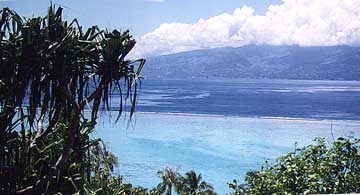 moorea3.jpg (22131 bytes)
