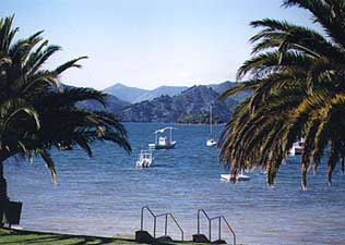 picton.jpg (20355 bytes)