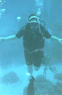 reef-me.jpg (9392 bytes)