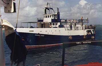 reef-oceanquest.jpg (18931 bytes)