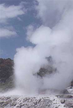 rotorua1.jpg (10162 bytes)