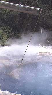 rotorua3.jpg (12270 bytes)