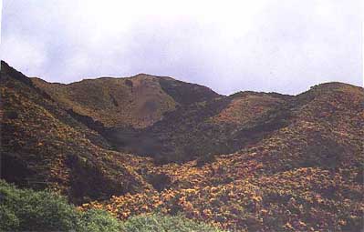 si-mtns3.jpg (21329 bytes)