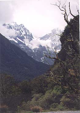 southislandalps.jpg (21009 bytes)