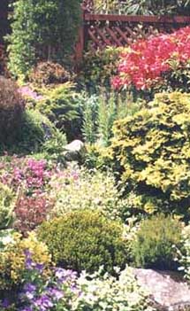 taranaki-garden1.jpg (29188 bytes)