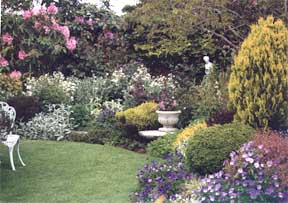 taranaki-garden2.jpg (22561 bytes)