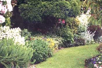 taranaki-garden3.jpg (27540 bytes)