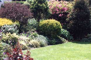 taranaki-garden4.jpg (23761 bytes)