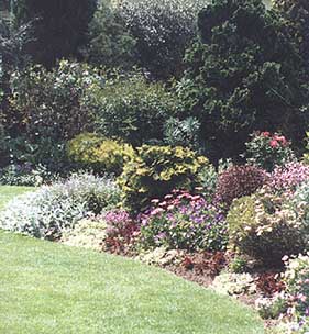 taranaki-garden5.jpg (33529 bytes)