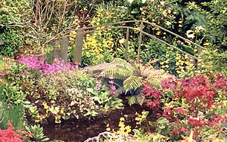 taranaki-garden6.jpg (38097 bytes)