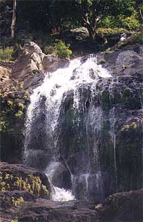 warwick-falls1.jpg (21813 bytes)