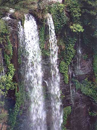 warwick-falls5.jpg (47760 bytes)