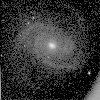 galaxy