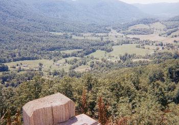 Virginia
