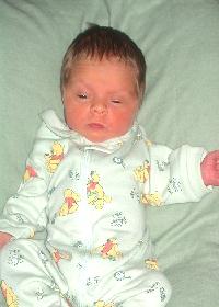 gavinallen