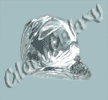 Crystal Shankh