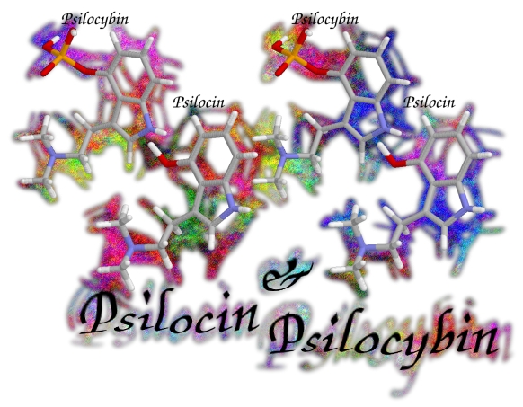 Psilocybin