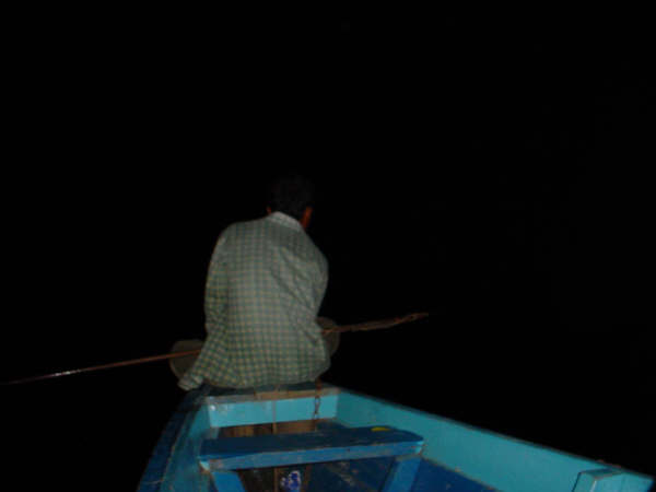 Looking for Caymans
