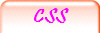 CSS