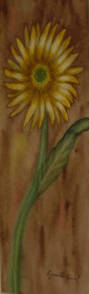 GERBERA