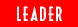 Community Leader
