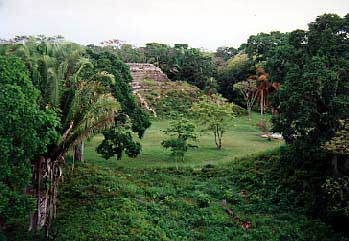 Mayan Temple