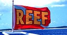 www.reef.org