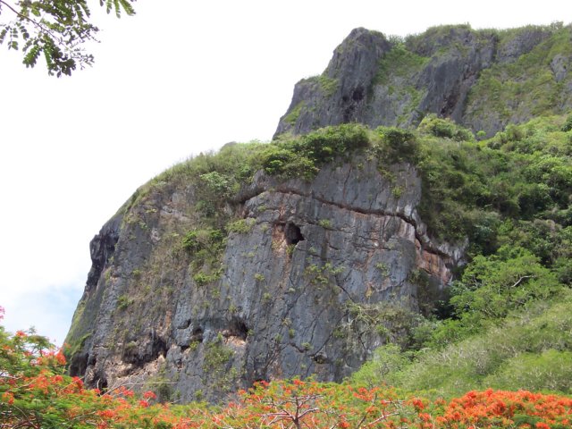 Photograph