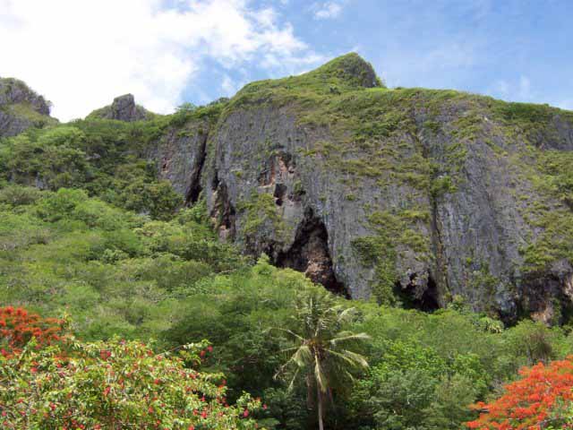 Photograph