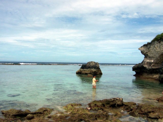 Photograph