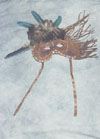 Chief Blue Feather