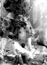 Arachne