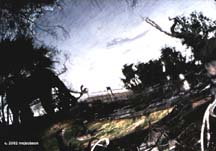 Reflection #3