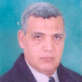 m naguib
