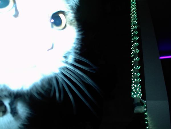 DSC00002.jpg