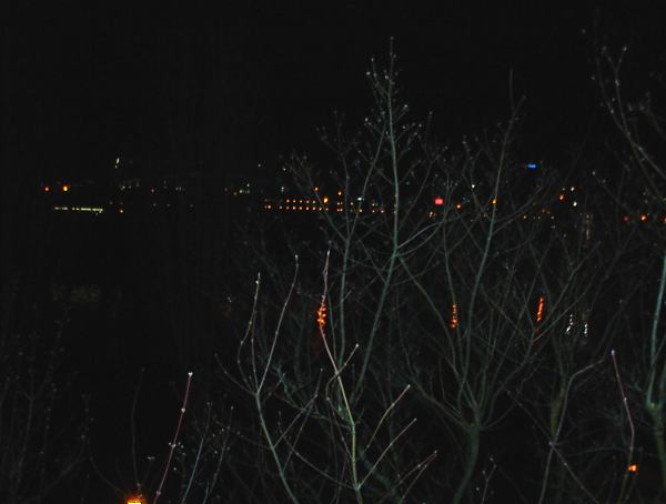 DSC00029.jpg