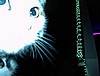 DSC00002.jpg