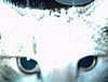 DSC00021.jpg
