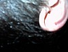 DSC00024.jpg