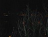 DSC00029.jpg