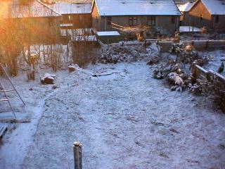 Back garden